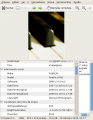 2-gThumb.png