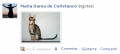 Foto de Bigotes.png