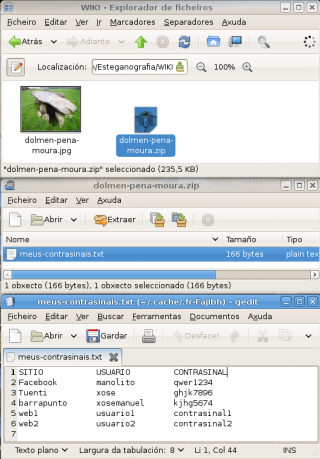 Linux-Ver-ficheiro-esteganografado.png