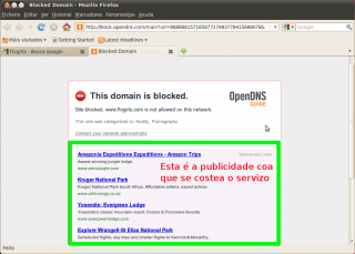 Proba-OpenDNS-3.png